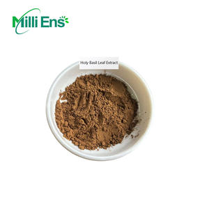 Высококачественный 100% натуральный экстракт Tenuiflorum, 10:1 экстракт листьев священного базилика, порошок для дополнения - Product Image 3