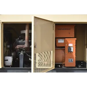 Generador de Propano Líquido Monofásico Usado de 30kW - 120/240V, Resistente a la Intemperie, para Uso Comercial y de Respaldo - Product Image 3