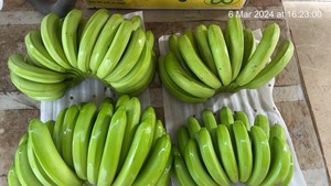 กล้วยเขียวสดผลไม้สดจากเวียดนาม2024 MS Amelia + 84855014447 - Product Image 3