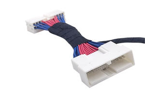 Sigor Aangepaste Audio Bedrading Harnas Naar Obd 20 Pins Jumper Draad Connector Obd Kabelboom Connector Mannelijke Naar Vrouwelijke 16 Pinnen - Product Image 2