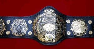 อุปกรณ์มวยปล้ำ MMA สำหรับการต่อสู้ศิลปะการต่อสู้แบบมืออาชีพ ปรับได้ ทนทาน น้ำหนักเบา ผลิตจากสแตนเลสอย่างดี - Product Image 6