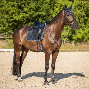 Top Trending Cute Colors Foam Satin Jumping Saddle Pad Standard International Western Style with <b>Cushion</b> <b>Filling</b> Cotton Lining - Product Image 4