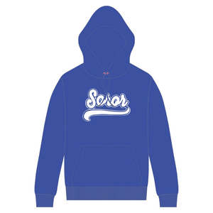 Sudadera con Capucha Azul de la Hermandad Zeta Phi Beta, Inspirada en los Fundadores de 1920, Hermandad Griega, Mujeridad Superior, Prenda de Algodón Premium - Product Image 1