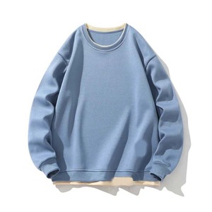 Sweat à capuche 100% coton épais pour hommes à manches régulières Sweat-shirt solide personnalisé de haute qualité Logo personnalisé imprimé polaire - Product Image 2