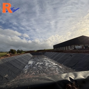 HDPE LDPE LLDPE PVC EPDM 0.75mm nhựa dam Pond <span class=keywords><strong>Liner</strong></span> 1mm bãi rác lót geomembrane với giá nhà máy - Product Image 2