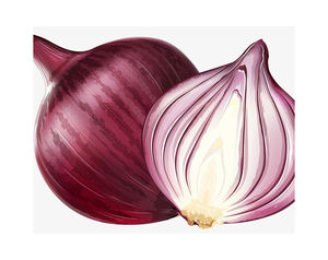 Cebolla Amarilla/Roja Fresca de Alta Calidad a Precio Económico por Tonelada de Nueva Cosecha, Empaque de 15 KG, Origen de Cebollas Amarillas Frescas - Product Image 5