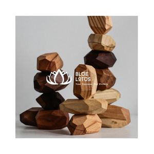 Juego de piedras de madera para juegos Juego de equilibrio de Vietnam Venta caliente de Blue Lotus Farm Vietnam Mejor precio caliente - Product Image 1