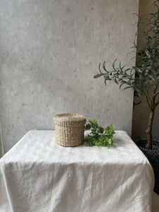 Venta caliente 100% Mini cesta de algas marinas naturales con tapa hecha a mano de Vietnam para almacenamiento - Product Image 4