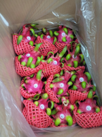 Top Verkoop Rode Draak Fruit Pitaya Fruit Beste Prijs Verse Dragon Fruit Fabrikant Uit Vietnam Mr Alvin