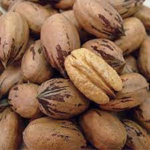 High Quality Cheap Sales Healthy Organic Baked Salty Bulk <b>Pecan</b> <b>Nuts</b> for Sale Ready for Export - Product Image 3