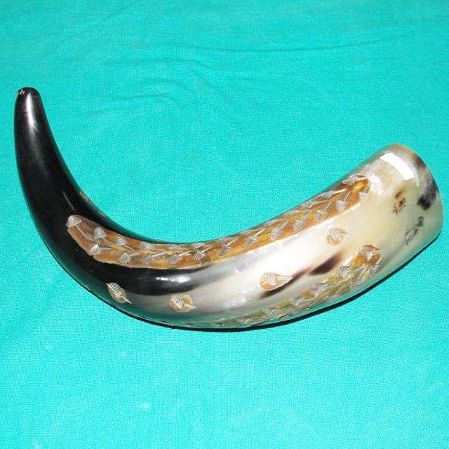 ตามที่แสดง