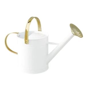 Sắt Đơn Giản Vòng Tưới Nước Có Thể Trắng & Vàng Màu Thông Minh Phun Nước Nhà & Vườn Nguồn Cung Cấp Nước Lon Di Động Mô Hình Tưới Nước Có Thể - Product Image 2