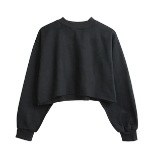 Sudaderas con capucha de algodón 100% de alta calidad con logotipo personalizado, sudaderas Unisex de peso pesado de talla grande para hombres y mujeres, otoño - Product Image 6