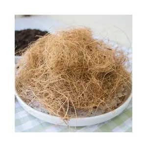 100% Natural Eco Friendly Coconut Husk from Ben Tre Vietnam Factory High Quality Coconut Fiber Coir Fiber