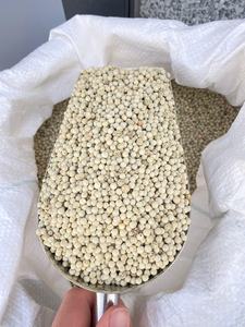 Vietnam Poivre Blanc 630GL Exportation d'Épices Naturelles, Épices Propres au Prix d'Usine de Phalco - Product Image 3