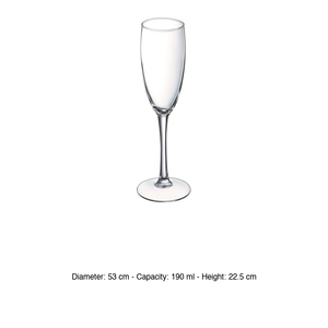 Copa de Vino Arcoroc Tulipe Vina Flute 19 cl, Suministros para Restaurantes, Suministros para Bares, Venta al por Mayor - Product Image 3
