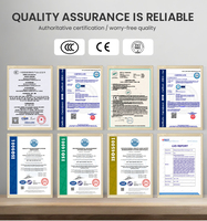 Fusibles céramiques NT1 pour la protection des dispositifs semi-conducteurs, fusible AC 800V avec capacité de coupure de 50kA, indication de soufflage rapide