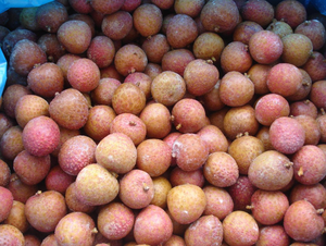 Litchi congelé Exportateur du Vietnam Litchi pelé IQF Qualité supérieure prêt pour usage culinaire et au détail - Product Image 4