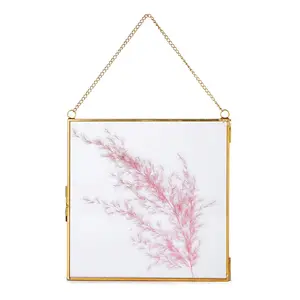 Square Shape Wall Hanging Flower Pot Top Class Quality Top Selling Gold Stylish Photo Holder New Look Classic Glass Frame