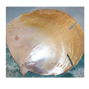 จานเสิร์ฟหอยมุกทำด้วยมือสำหรับการนำเสนอคาเวียร์ร้านอาหารโรงแรมและอุตสาหกรรมการจัดเลี้ยง - Product Image 2