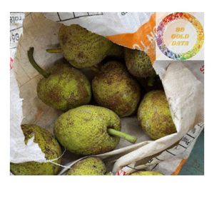 PROVEEDOR DE VIETNAM DE FRUTA DE PAN CONGELADA IQF CALIDAD PREMIUM 100% SAKE NATURAL PARA EL MERCADO GLOBAL - Product Image 1