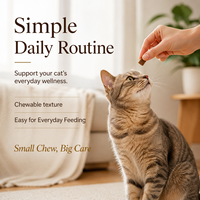 Vente en gros de friandises à mâcher molles à la lysine pour soutenir l'immunité des chats, complément alimentaire pour la santé respiratoire féline, probiotiques digestifs, 100g