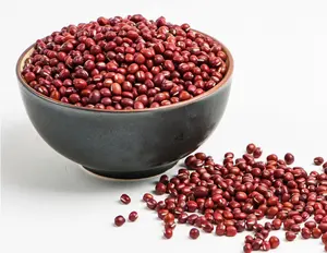 Kacang Adzuki Organik Kualitas Premium Kacang Merah Segar Baik untuk Kesehatan Halal Cocok untuk Memanggang dan Memasak