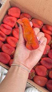 Produit en gros de kakis séchés vietnamiens avec une couleur naturelle, un goût sucré et une texture douce - Product Image 6