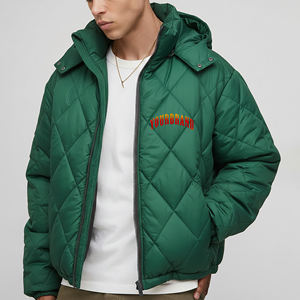 Veste matelassée pour homme de style personnalisé, en toile imperméable et respirante, décontractée, à capuche, pour l'hiver - Product Image 1