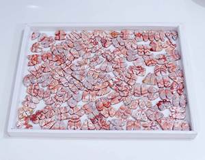 100% Natural AAA grado cuarzo Rosetta Jasper par cabujón de alta calidad al por mayor Rosetta Jasper piedra preciosa para la fabricación de joyas - Product Image 6