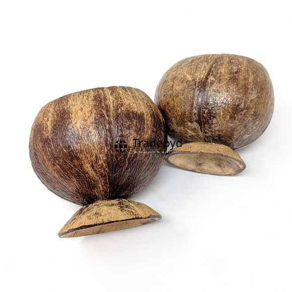 Available in Different Colors