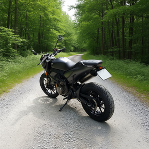 Portaplacas Husqvarna Vitpilen 801 Base - v3 - Product Image 3
