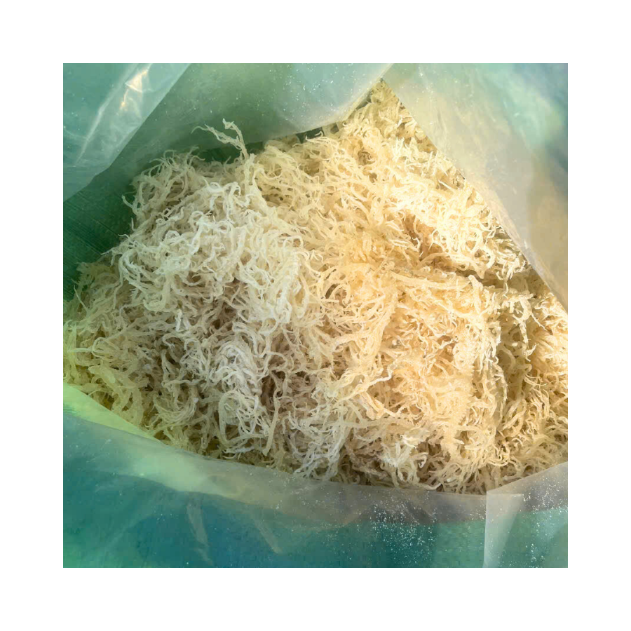 Southeast Asia Origin Dried Cottonii Seaweed for Natural Jelly Thickeners Vegan Desserts and Clean Label Brands