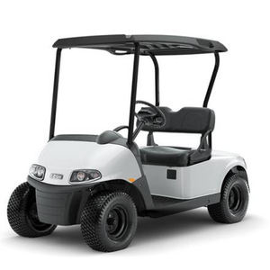 EZGO Valor 2023 para 4 Pasajeros EX1 EFI Gasolina - Product Image 2