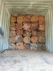 ไม้โอ๊คไวท์วีเนียร์แบบท่อนขาย - Product Image 5