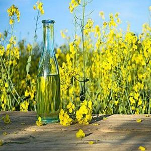 Huile de canola biologique raffinée de qualité supérieure huile de cuisson de colza naturelle emballage de tambour acheter livraison rapide en gros - Product Image 4