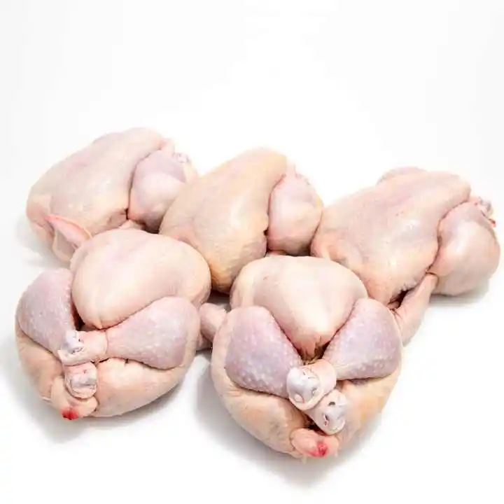Pollo intero IQF congelato sano e naturale di alta qualità pollo intero congelato Halal dal pollo di carne di pollame brasiliano
