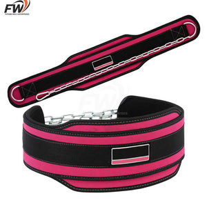 Cinturón de Soporte Lumbar con Cadena de Peso de Alta Calidad y Comodidad para Gimnasio, Levantamiento de Pesas, Dominadas y Dips, Unisex - Product Image 4