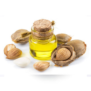 Raw <b>Apricot</b> <b>Kernels</b> | Bitter Grade for Holistic Wellness Products - Product Image 2