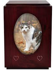 Urnes de crémation en bois faites à la main de Style américain de haute qualité pour les cendres de chat et de chien pour les funérailles d'animaux de compagnie Urnes funéraires en gros - Product Image 6