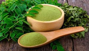 Poudre de Moringa du Vietnam de qualité supérieure |   Exportation en gros |   Qualité constante - Product Image 4