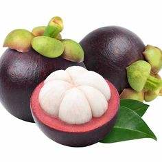 Mangostán liofilizado Queen of Fruits Precio barato Origen de Vietnam - Product Image 6