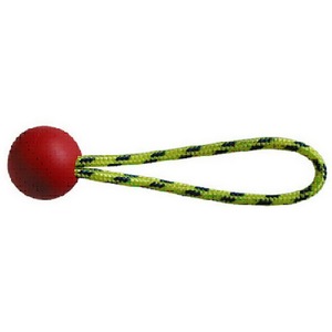 Balle de récupération promotionnelle pour animaux de compagnie 30 mm Référence 22353900 - Product Image 1