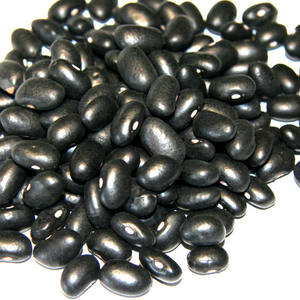 Kidney <b>Beans</b> 25kg Bulk Dried Packaged in <b>Bags</b> Factory Direct From South Africa - Product Image 2