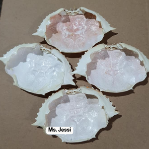 100% เปลือกปูแห้งแบบธรรมชาติ/โรงงานส่งออกโดยตรงจากเวียดนาม // MS. เจสซี่ - Product Image 2