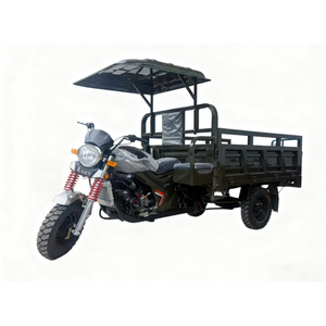 Motocicleta Triciclo de Tres Ruedas para Uso Agrícola con Toldo, Vehículo de 3 Ruedas de 150cc a Gasolina con Volquete - Product Image 1