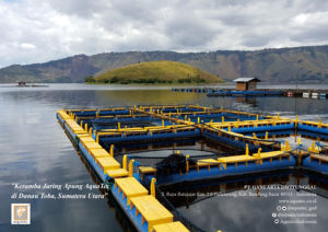 Cage à poisson flottante AQT HDPE 4 mètres x 4 mètres Flexy Type 6 trous/unité pour la pisciculture - Product Image 6