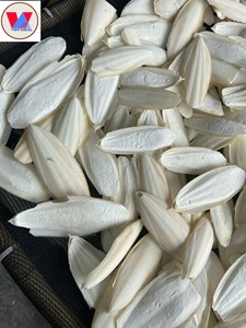 Os de seiche au Vietnam/Porte-os de légumes et de seiche avec support pour perroquet et cages à oiseaux/Ms. Lima - Product Image 6