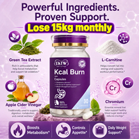 OKTW Kcal Burn Comprimés à croquer Extrait végétal naturel Stimulant quotidien du métabolisme Coupe-faim Marque privée Vente en gros