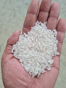 Riz vietnamien à grains courts de qualité supérieure, texture douce et fraîche, qualité supérieure, qualité d'exportation, 0% de brisures, récolte actuelle, sacs de 5 kg - Product Image 6